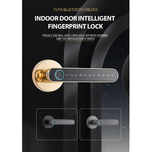 Bluetooth / Tuya APP Smart Door Knob Fingerprint Zinc Alloy Material