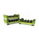 Foldable Custom Printed Cardboard Boxes , Fruit Carton Box Hard Material