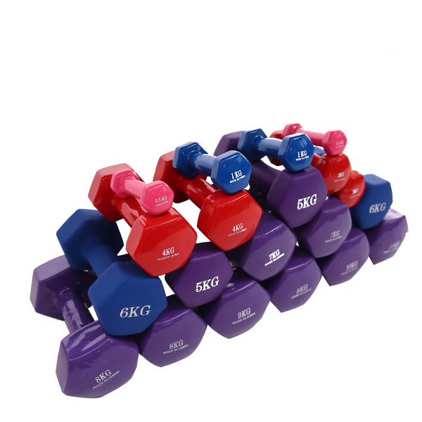 4kg Cast Iron Free Weight Exercise Equipment Neoprene Or Vinyl Dumbbell
