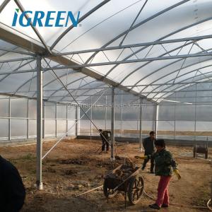 Customized Poly Tunnel Greenhouse Multi Span Agricultural polycarbonate tunnel