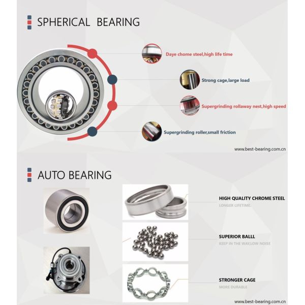 Auto Wheel Hub Bearing Clutch Bearing Tension Pulley Radial Bearing for Customization