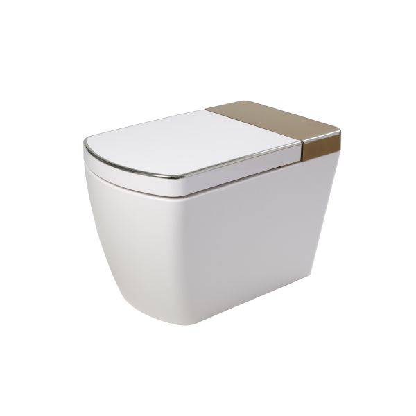 Electric Intelligent One Piece Toilet , Automatic Washing smart one piece toilet