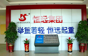 Henan Hengyuan Crane Machinery Group Co., Ltd.