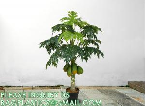 China Artificial Trees for Home Decor Plants Large Artificial Tree Branch Green Leaves Real Touch Fake Papaya Tree wholesale
