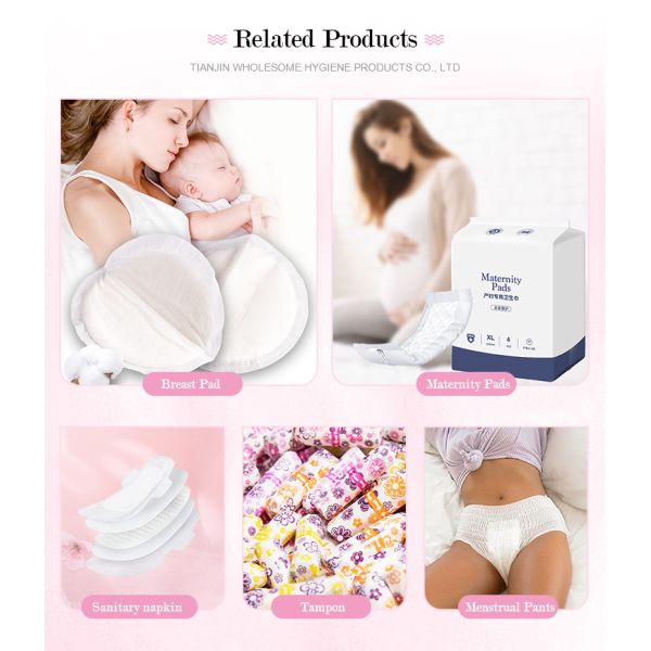 Disposable S.M.L Fluff Pulp Period Panties for Heavy Flow OEM ODM Menstrual Underwear