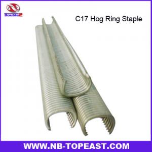 China C17 Hog Ring Staples wholesale