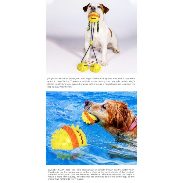 Multicolor Bouncing Interactive Pet Toys 2 Super Powerful Suction Cup Tug Dog Toy