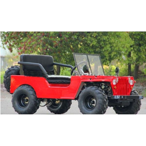 Ce Approval 50cc Mini Go Karts For Kids , Electric Kids Buggy Go Kart