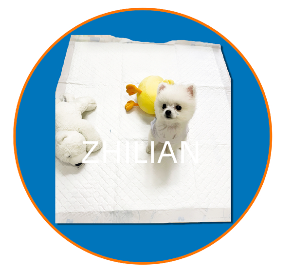 Disposable Pet Pad Training Pad Machine 350mm 900mm Length