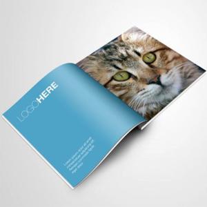 China Manga Custom Coloring Book Printing Services Children's Books Print on Demand Brochure on sale