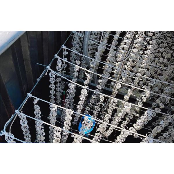 MBR Industrial Wastewater Treatment Equipment Underground Package Sewage Treatment Plant