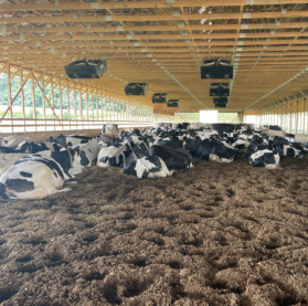 Nema 48FR General Purpose AC Motors Psc Fan Motor Psc Blower Motor Pedestal 1/2HP 4P 115/230VAC