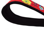 Green / Red Easy Close Nylon Dog Leash , Durable Small / Large Dog Leash