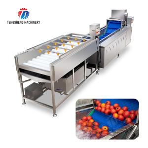 China Multifunction Fruit And Vegetable Processing Line Parallel Brush Machine wholesale