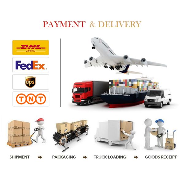 Transparent Cellophane Gift Wrap Bags For Thanksgiving / Birthday Party