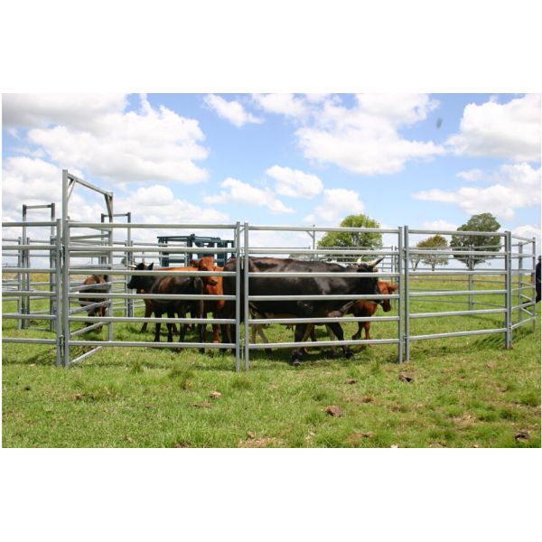 Oval Bar 6ft High Heavy Duty Galvanized Corral Panels For Cattle Feeding