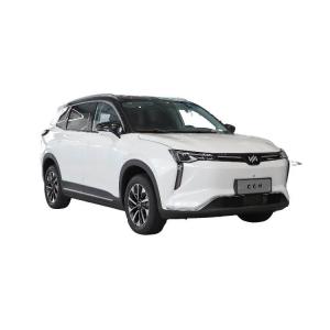 China Single Speed Transmission Full Electric SUVs Weima W6 Medium SUV wholesale