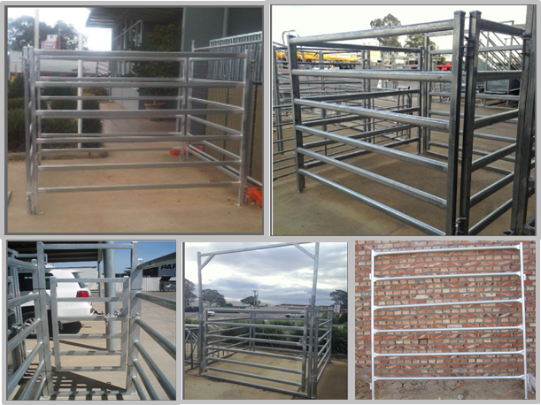 Environment Protection Cattle Corral Panels Galvanized Cattle Panels Various Sizes