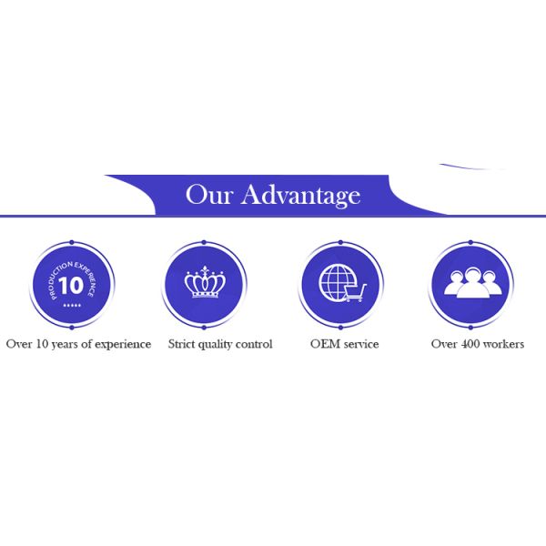50/60Hz 500 Watt Solar Inverter 12V Solar System Inverter With Solar Charge Controller