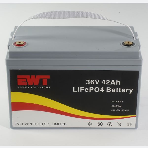 36v 42Ah Lithium Ion Battery 2000cycles Light Weight Lifepo4 36v 42ah Battery Pack With BMS