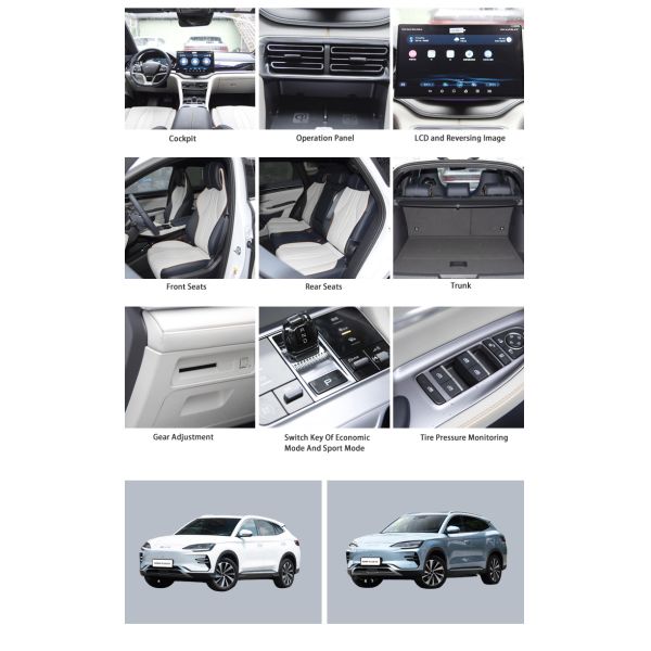 High Speed Fully Electric SUV 4 Wheel New Energy Electric Motor Vehicles