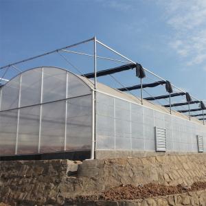 Film Covered Durable Agricultural Tunnel Greenhouse with Optional Cooling System