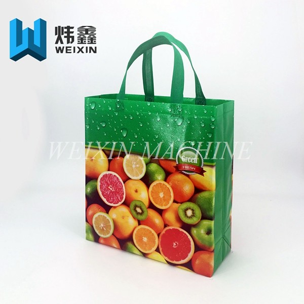 Non Woven Fabric Carry Bag Making Machine