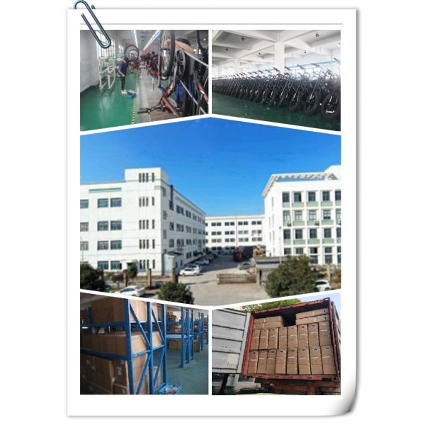 28km/H Lightweight Electric Folding Bike With 48V 13Ah Lithium Battery