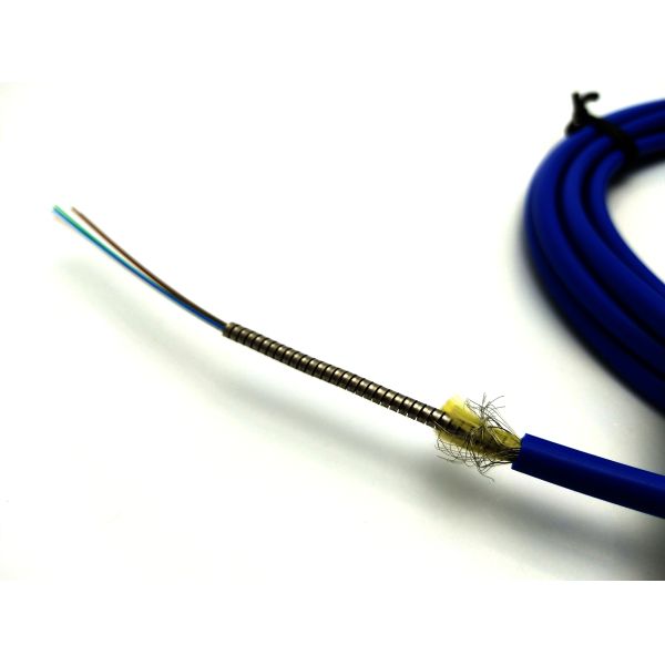 1550nm Simplex FC 2.0MM Multimode Armored Patch Cord