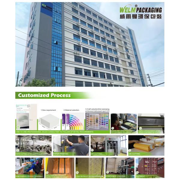 Eco Christmas Pastry Cake Box Cupcake Bouquet Packaging Boxes Portable