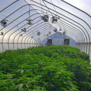 China Automatic Outside Shading Light Deprivation System Greenhouse OEM wholesale