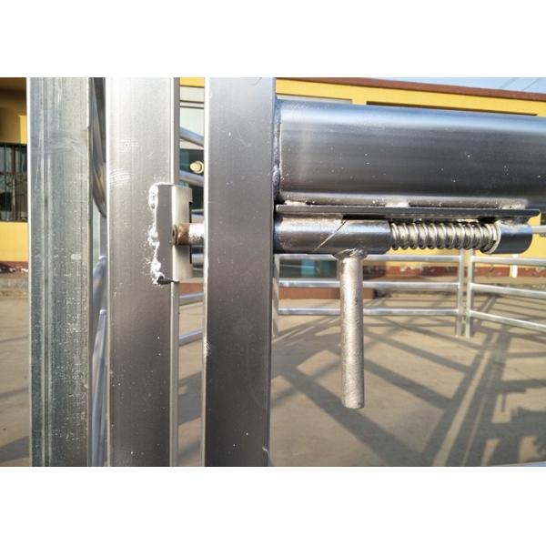 Australia Standard Steel Cattle Fence , Galvanized Horse Fence Panels With 5 / 6 Rail