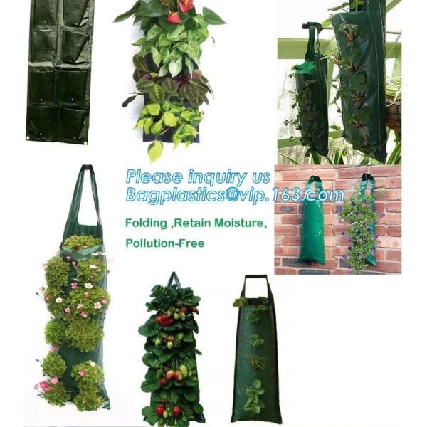 customized waterproof green pe car protector,environmental firendly, car boot liner, reusable, durable,economical,sample