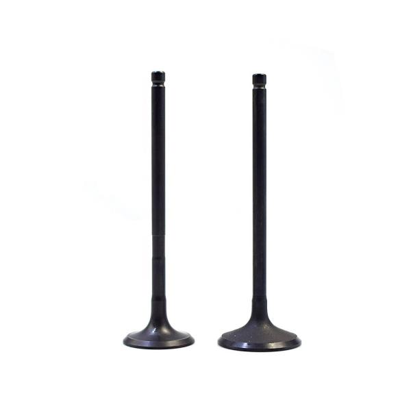 Engine Assembly Inlet Valve NE6 Intake Valve & Exhaust Valve 13201-95005 13202-95003