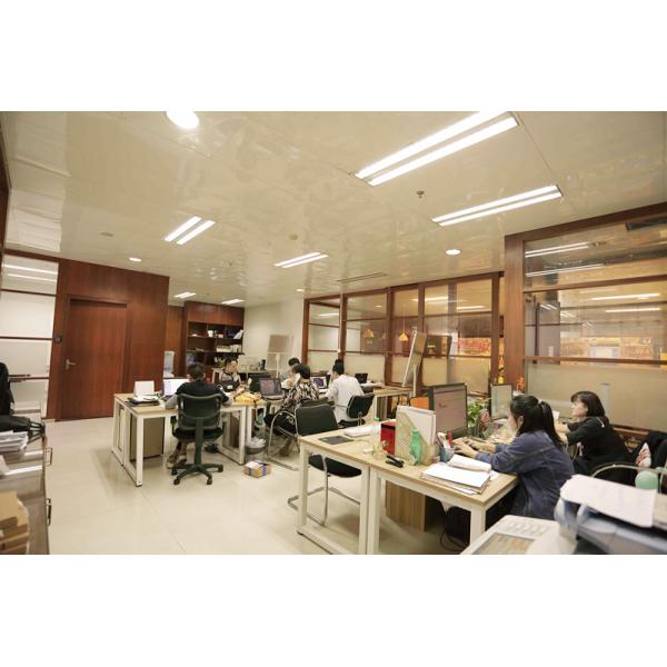 DIN Standard ZINC Finish 304 Stainless Steel Wedge Expansion Anchor Bolt for Customer Requirements