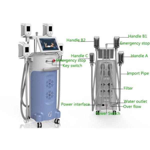 CE approved! 12 inch big screen Cryolipolysis Fat Freeze Slimming Machine For Fat Reducing With 1600W Output Power