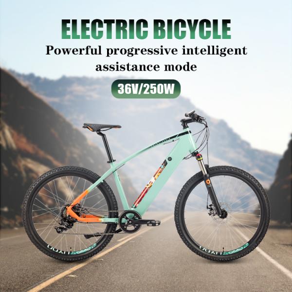 Light Green Thailand Electric City Bike 16.5AH Lithium Battery 250w