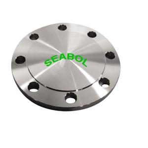 China Blind Flange wholesale