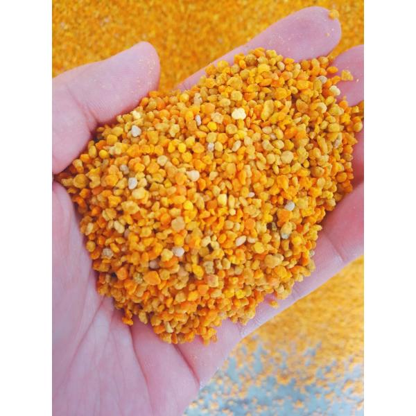 Quality Mixed Fresh Raw Bee Pollen Full Of Nutricion Big Granual for sale