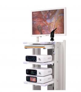 China Medical Imaging Equipment Laparoscopy 4K Endoscope Camera System DJSXJ-IIb on sale