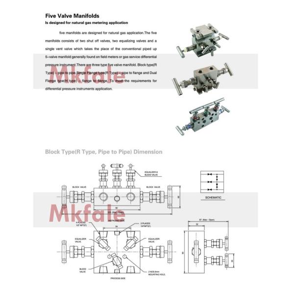 Mini High Pressure Needle Valve Gauge Valve Manifold For Natural Gas Metering Stainless Steel Valve