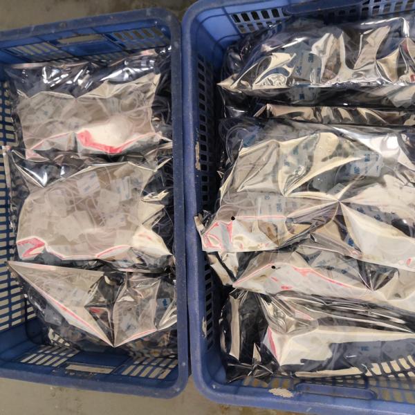 IMG_20191120_125518 1000.jpg