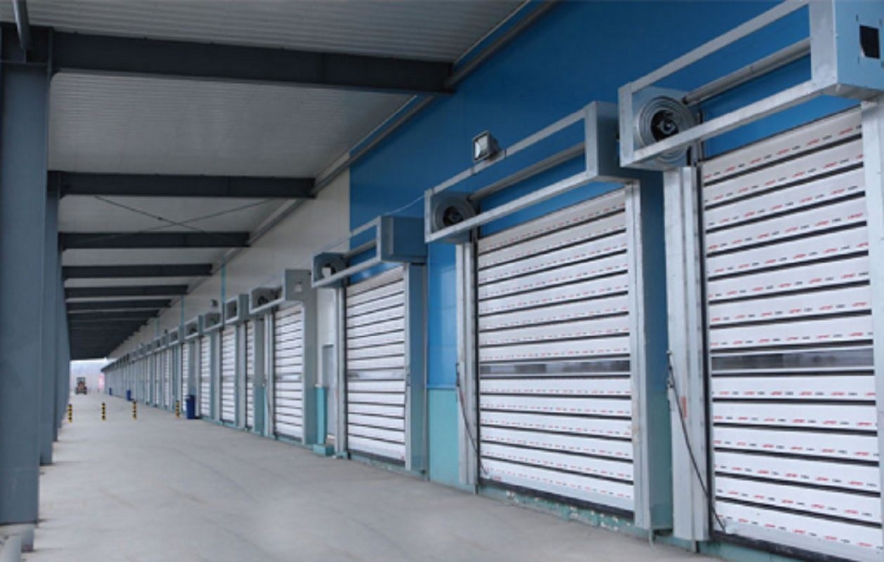 1000N Output Torque Spiral Security Garage Door with Remote Control and Aluminum Alloy