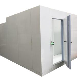 Cold Room/Freezer Room Factory Directly Sale Cold Storage Room for Food