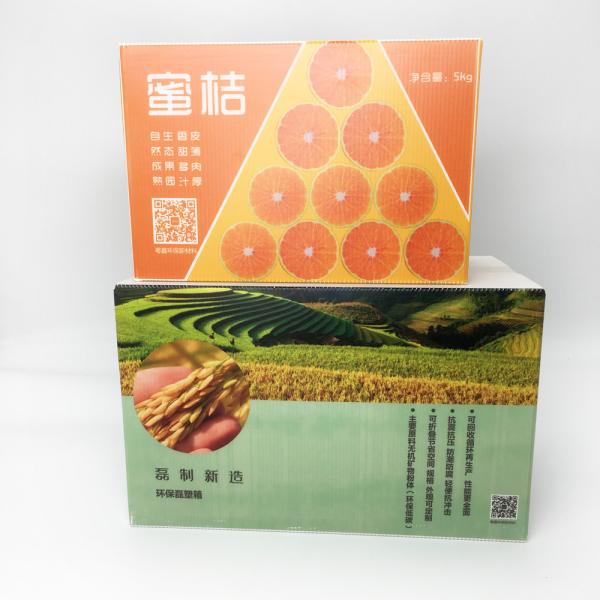 Full Colour Printed Corrugated Box Moisture Resistance Degradable Cold Adapt Storage Carton For Farm