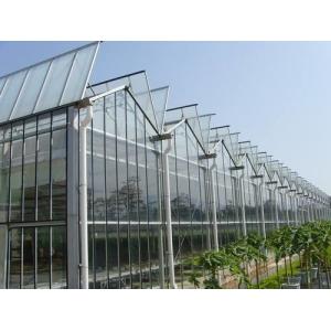 Exhibition Commercial Outdoor Greenhouse , Flower Growing Large Green Houses