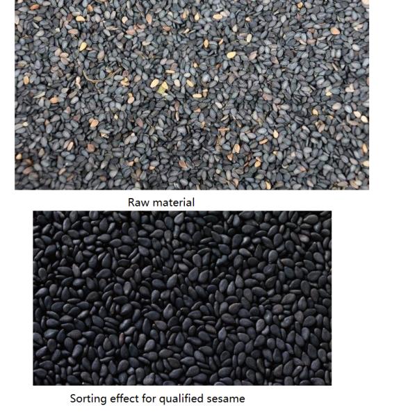 High Efficiency Sesame Color Sorter RGB Technology Full Color CCD Camera