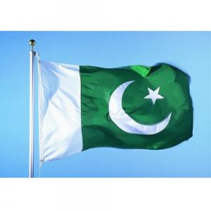 China High Color Fastness 115g Polyester Pakistan Country Flag on sale