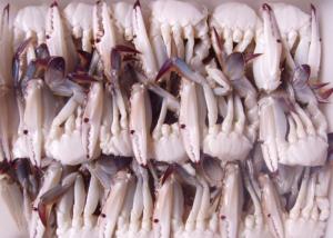 China Half Cutted Portunus Crab Korea Thailand Trituberculatus Latin Name wholesale