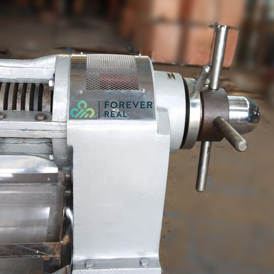 RF85 Stainless Automatic Oil Press Machine with temperature control 60-80kg/h